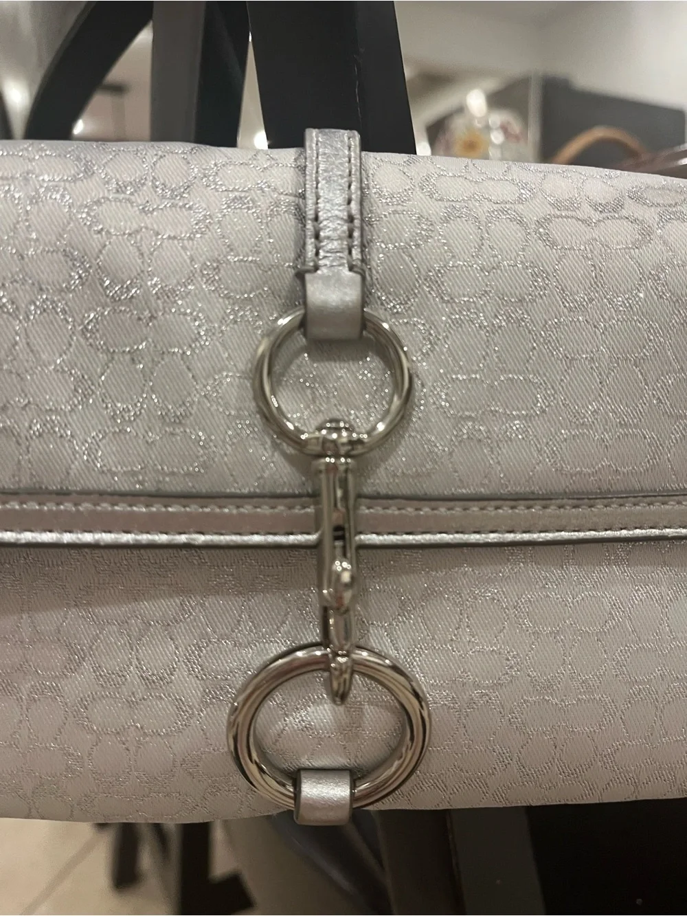 Vintage Coach Hamptons Shimmer Optic 